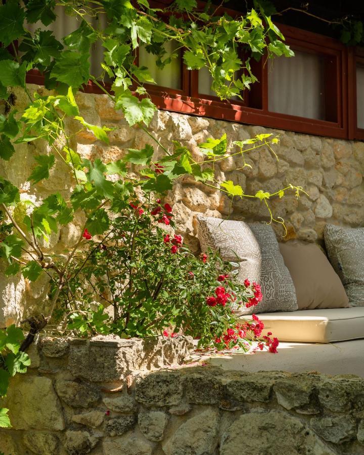 Petrino Eco Village Afytos Exteriér fotografie