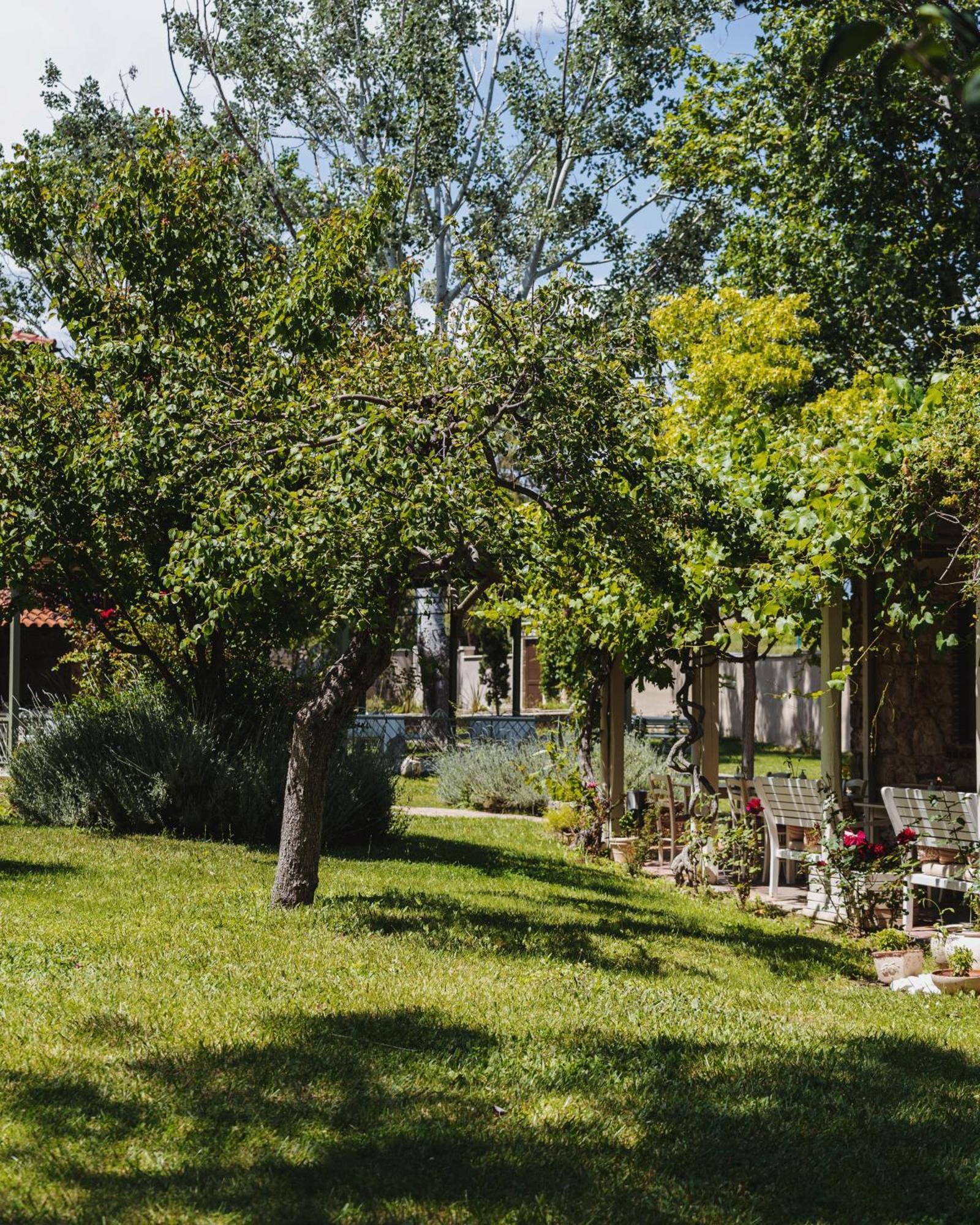 Petrino Eco Village Afytos Exteriér fotografie