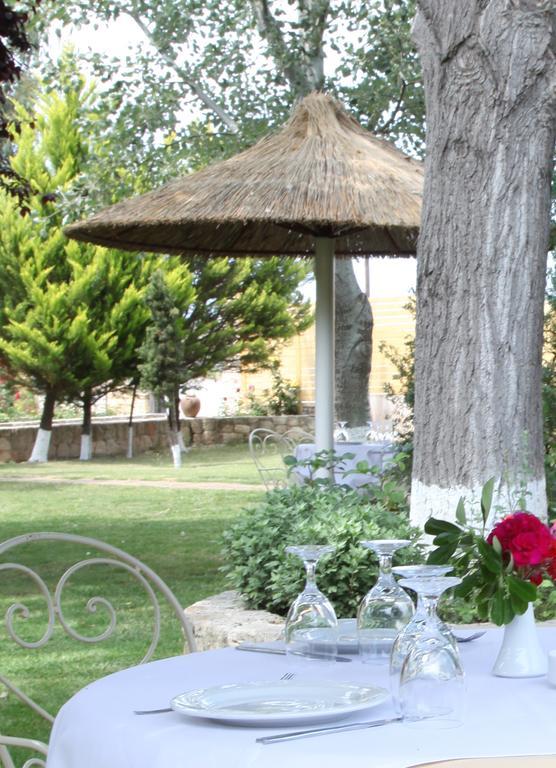 Petrino Eco Village Afytos Exteriér fotografie